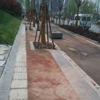 江心洲生态科技岛二号路展示中心人行道铺装工程